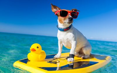 Stress Less at Tax Time