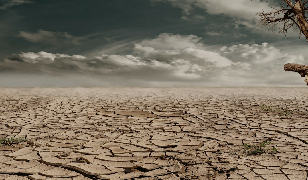 Is a Cash Drought Approaching Your Business