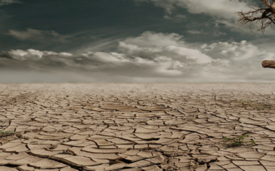 Is a Cash Drought Approaching Your Business