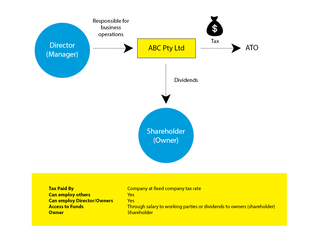 Company Business Structure