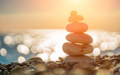Which Business Structure is right for you? Trusts explained